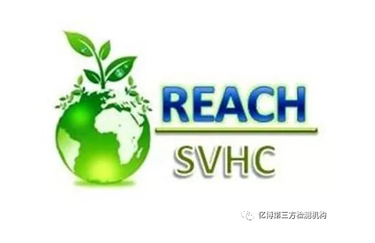 REACHJCǏƵĆ